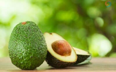 Avocados and Cardiovascular Health Research