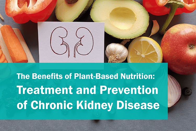The Benefits of Plant-Based Nutrition: Treatment and Prevention of Chronic Kidney Disease   