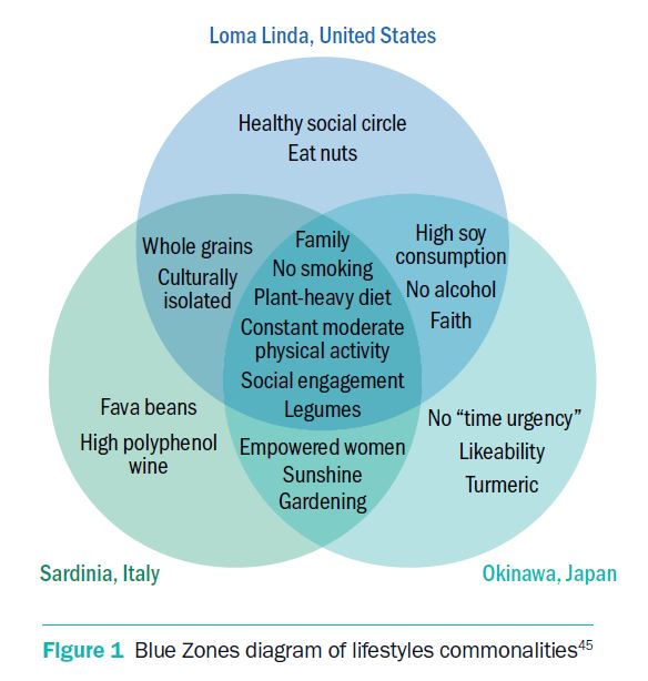 Figure 1: Blue Zones Diagram Of Lifestyles Commonalities