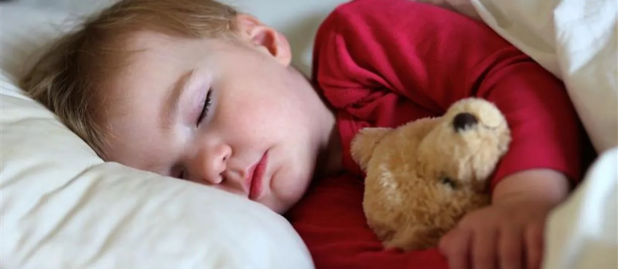 Toddler boy sleeping